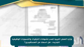 وزارة العمل الليبية تصدر كشوفات الترقيات والتسويات الوظيفية الجديدة.. هل اسمك من المستفيدين؟